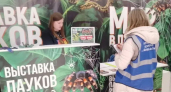 Йошкар-Ола оштрафует выставку пауков за рекламу