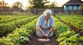 Яичную скорлупу больше не ношу в огород пакетами: самое большое заблуждение дачников наконец раскрыли