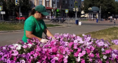 Кольца и улицы Йошкар-Олы украсят яркими цветами