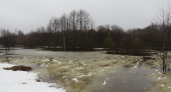 На Большой Кокшаге зафиксировали самое высокое половодье за 45 лет