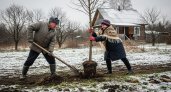 Дачники судорожно выкорчевывают свои деревья: новое строгое правило оставит всех с пустым участком