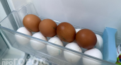 Почему работники птицефабрик не берут отборные яйца даже со скидкой: что не так с категорией С0