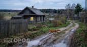 Бешеная лиса пробралась в частное хозяйство в Нурме: село закрывали на карантин