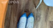 Бахилы не выбрасываю — еще и у соседей выпрашиваю: вот что с ними делают экономные хозяйки — 8 способов использовать их дома