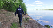 Спилил дерево — попал под статью: что нужно знать владельцам участков, чтобы не получить штраф до 1 млн рублей