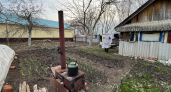 Сыплю белый порошок на грядки — урожай взлетает в разы: результат удивит даже скептиков