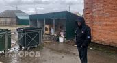 Мусор летает по всему двору, сборище выпивох: жители улицы Тельмана борются за чистоту и безопасность