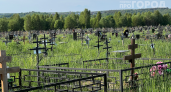 Могилы могут исчезнуть: какие изменения ждут кладбища России в 2026 году — что нужно знать каждому