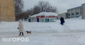"Достойно отработали": Зайцев оценил, как Йошкар-Ола справилась с аномальными снегопадами