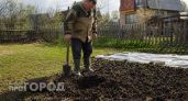 Простое средство из аптеки - кроты покинули огород и больше не вернулись: и стоит недорого