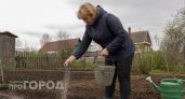 Простое средство из СССР - и слизни в ужасе ползут с огорода: есть на кухне у каждого