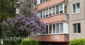 За ветку сирени — штраф до 100 тысяч: в Роскачестве объяснили, как обычный букет может обернуться судом