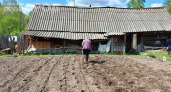 Вы делаете это на даче в мае — и зря: 10 бесполезных дел, которые крадут силы и время