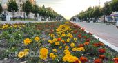 Май расцветет теплом и красками на днях в Марий Эл