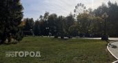 Центральный парк Йошкар-Олы обработают от грызунов и клещей