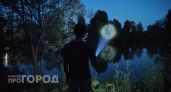 Яркий звездопад можно будет увидеть над Марий Эл: 30 штук в час