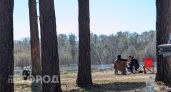 Клещи в Марий Эл потеряли аппетит: жители обращаются к врачам в четыре раза реже