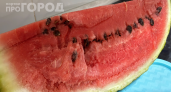 Нитраты, пестициды и яйца паразитов: доцент Кулач рассказала, чем опасны ранние арбузы