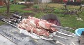 Не курица и тем более не свинина: самое полезное мясо для шашлыка назвали ученые