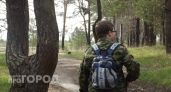 Стоит всего 40 рублей, а клещи разбегаются от запаха одной капли: теперь беру в лес только это - подходит и детям, и взрослым