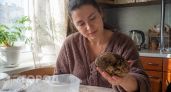 На грядках больше не убиваюсь днями напролет: новый способ выращивания картошки без земли - быстро, просто, и урожай вкуснейший