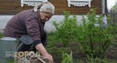 Не малина и даже не черника: самую полезную ягоду назвали ученые - растет в каждом огороде