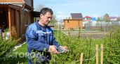 Забор за 500 рублей: мастер показал метод, как отгородиться от соседей без дорогих материалов