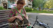 Людям старше 65 лет стоит держаться подальше от кошек: ученые объяснили почему