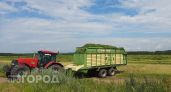 Опасное зерно нашли на предприятии Марий Эл