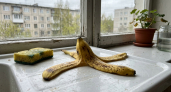 Мы это нещадно выбрасываем, а зря: 5 кухонных отходов, которые работают лучше дорогих удобрений