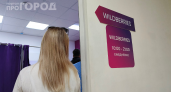 Дешёвые товары на Ozon и WB уходят в прошлое: как маркетплейсы подняли цены на 20% — а мы и не замечаем