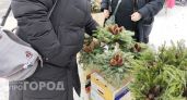 Новогодние каникулы сократят безвозвратно: как теперь будем отдыхать