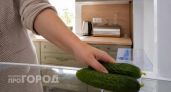 Можно ли хранить огурцы в холодильнике: запомните раз и навсегда