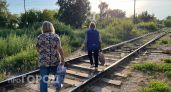 Фейковая подруга выпросила у жительницы Медведевского района 14 тысяч
