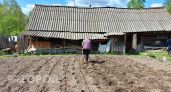 Бюджетный огород: полезные находки для дачи в Йошкар-Оле