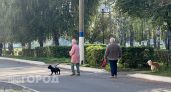 Решение принято окончательно: пенсий в июне не будет из-за ситуации в стране
