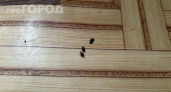 Не спешите менять линолеум: способ замаскировать прожжённое пятно так, что никто и не заметит