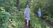 116 зараженных клещей сняли с жителей Марий Эл