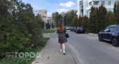 В Моркинском районе женщина перешла по ссылке от знакомой и теперь должна микрозаймам деньги