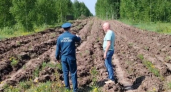 Опасная погода наступила: полосы для защиты от огня копают в Йошкар-Оле