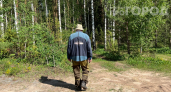 Две капли на воротник — и клещи не приблизятся: натуральный щит для всей семьи — в лес хоть босиком