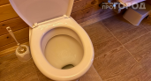 Унитаз как из магазина за копейки: забудьте про хлорку — вот что действительно работает