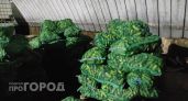Одна грядка кормит всю семью целое лето: самый плодовитый сорт огурцов, который вообще не требует усилий