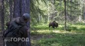 Не бег и не крики: что делать, если встретил медведя в Марий Эл