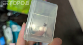 Клещи не подойдут даже на метр: 2 капли на кроссовки — и можно смело идти в лес