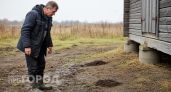 Кроты уйдут с участка сами - и даже никаких средств покупать не нужно: хитроумный способ, доступный каждому