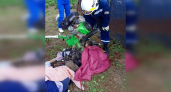 Жителя Медведевского района засосало в культиватор от мотоблока