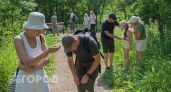 Капнула две капли на джинсы - клещи обходят стороной все лето: подходит и детям, и взрослым