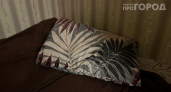 Замызганная подушка как новая за одну стирку: вот как сделать ее свежей 