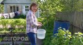 Столовая ложка в ведро - и огурцы завалят урожаем: есть на каждой кухне